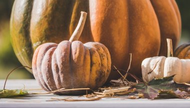 Zierkürbisse als Herbstdekoration